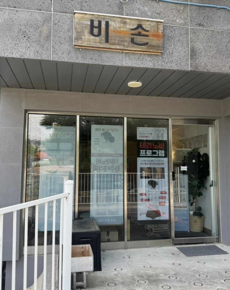 Bison photo 2