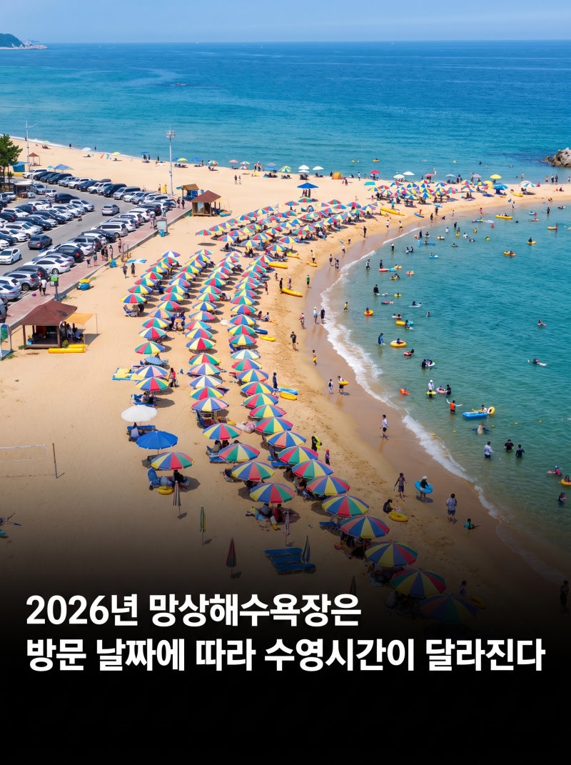 망상해수욕장 2026 개장정보 총정리｜수영시간·주차·아이 물놀이 방문 전 확인