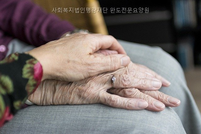 완도전문요양원 사진 2