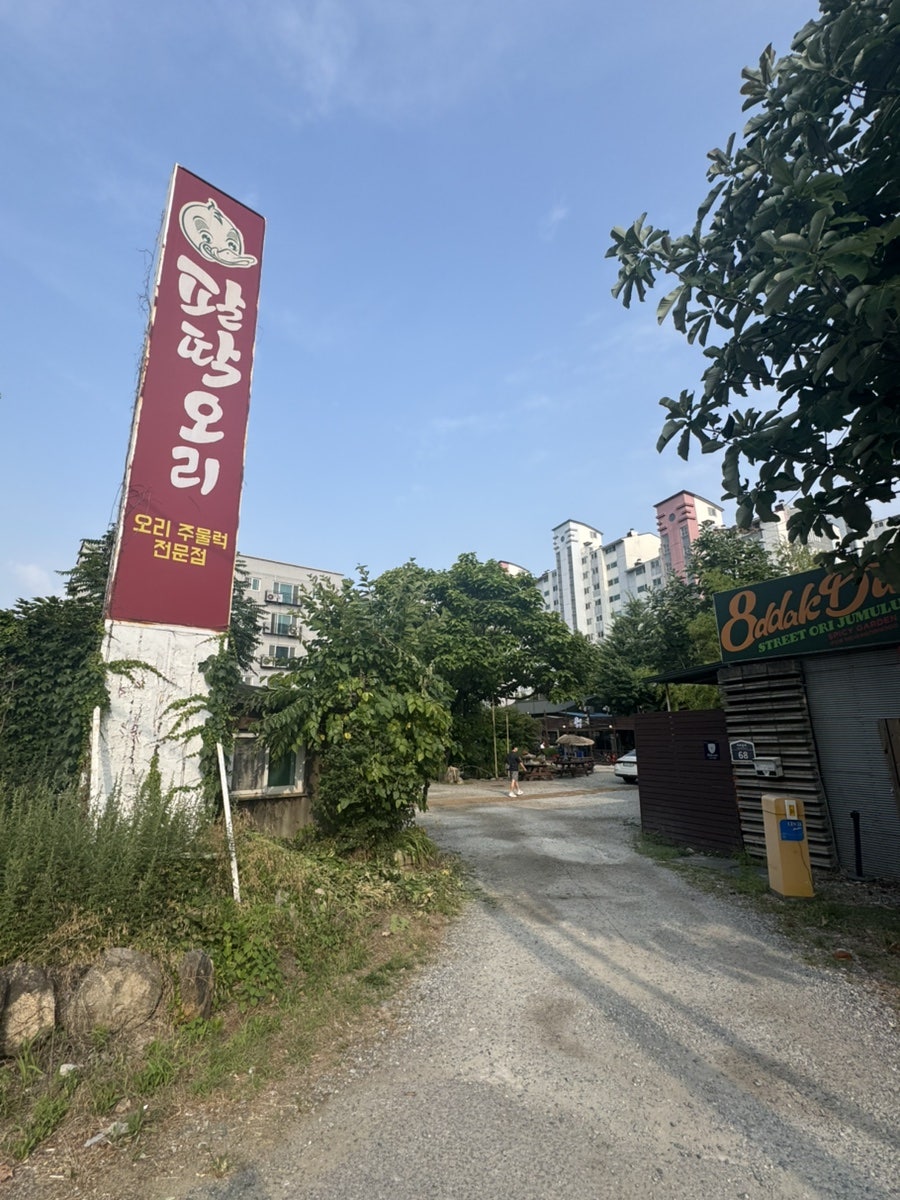 팔딱오리 사진 3