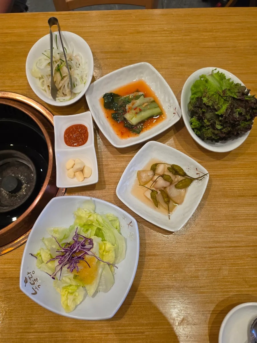 한돈소 사진 6