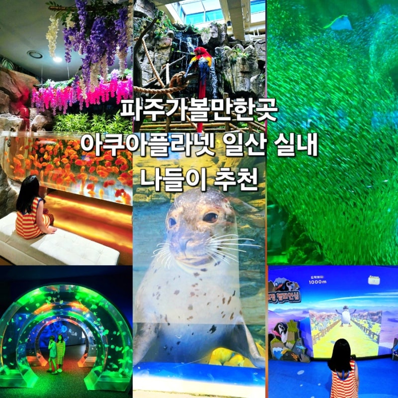 파주가볼만한곳 일산 아쿠아플라넷 여름 실내 놀거리 아이와 갈만한곳