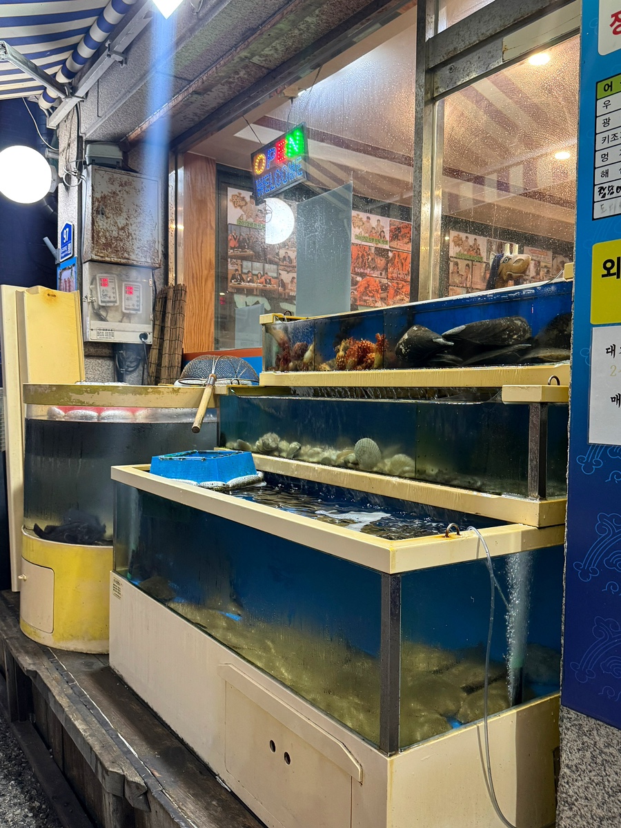 산이네회무침 사진 2