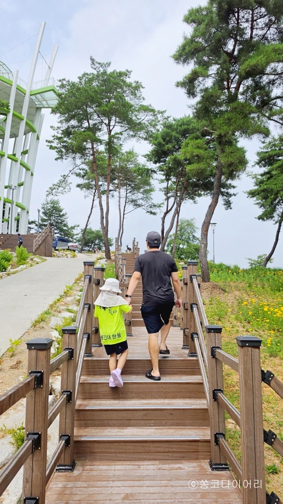 북면스카이타워 사진 6