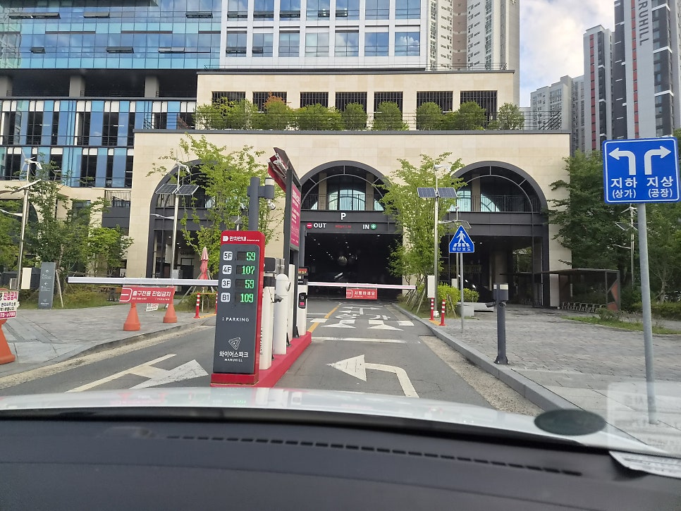 엄니 사진 2