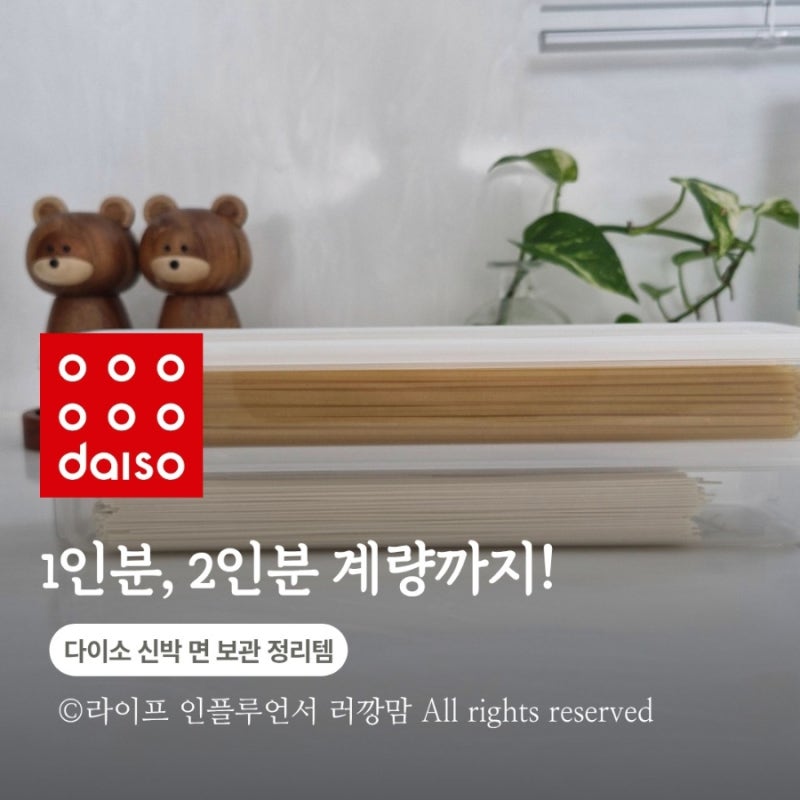 다이소에서 찾았다! 파스타·소면 보관 끝내주는 면 보관용기