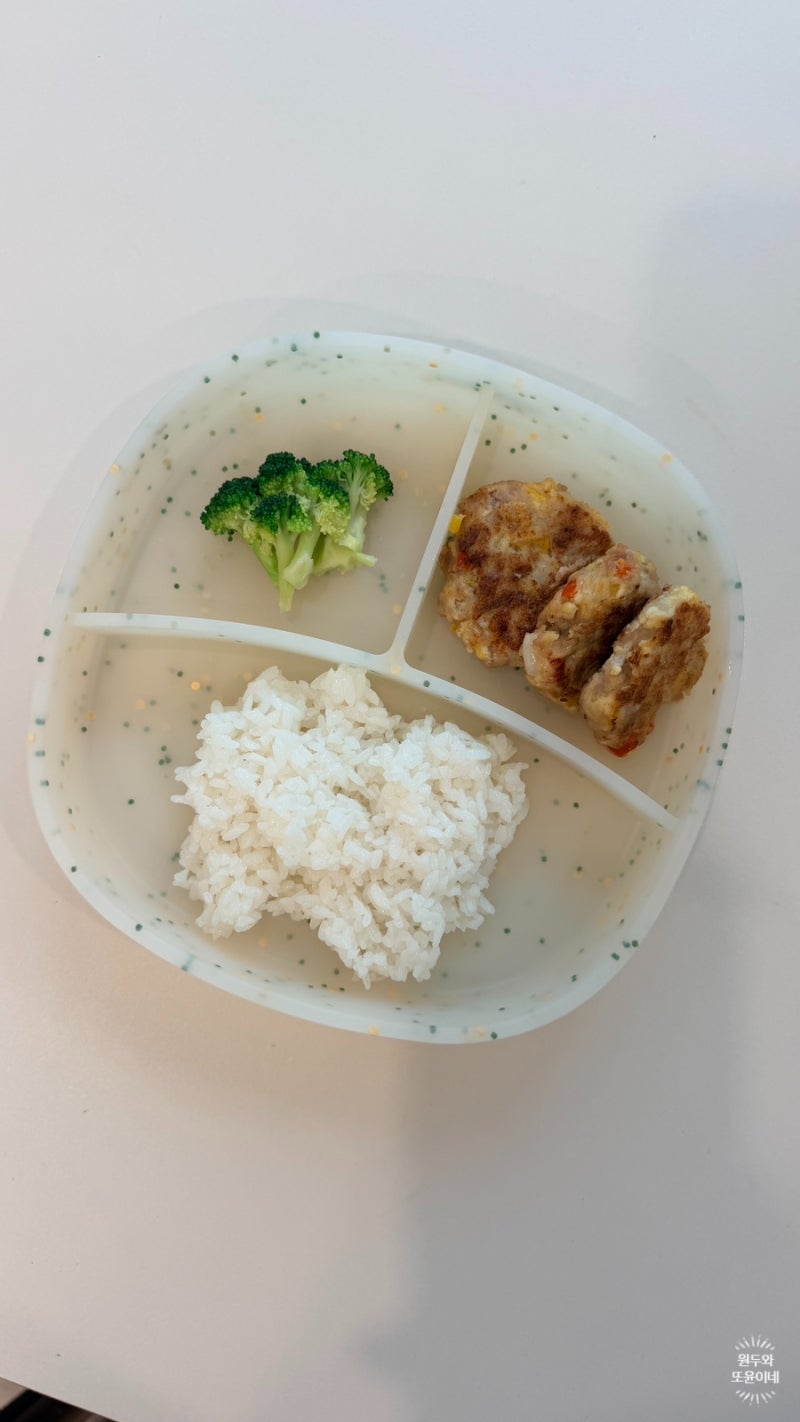 아기 유아식 반찬 돼지고기 동그랑땡 레시피