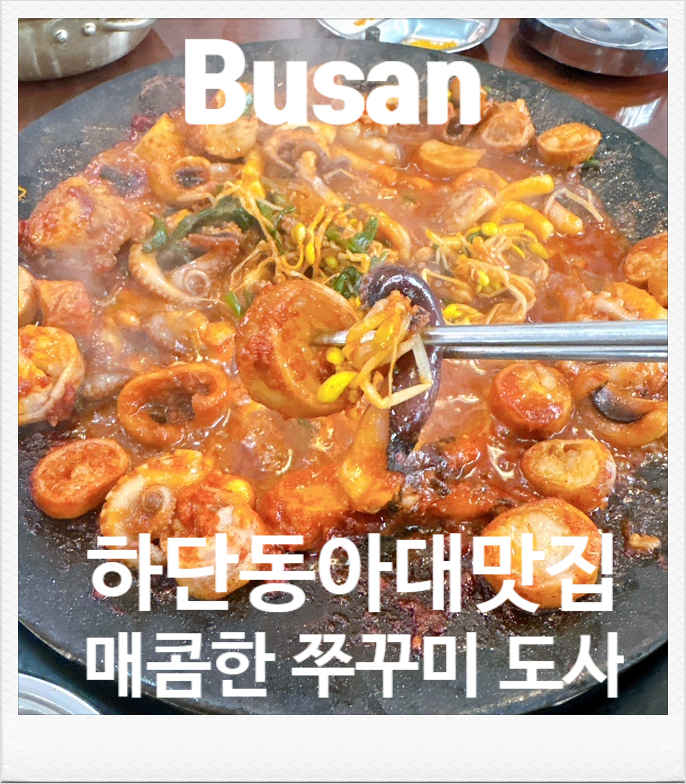 쭈꾸미도사 동아대점 사진 1