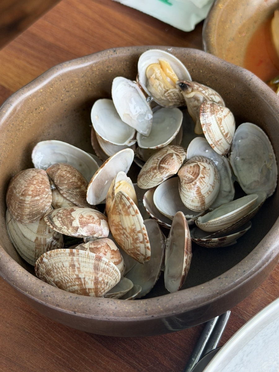 다래마을손두부칼국수 사진 6