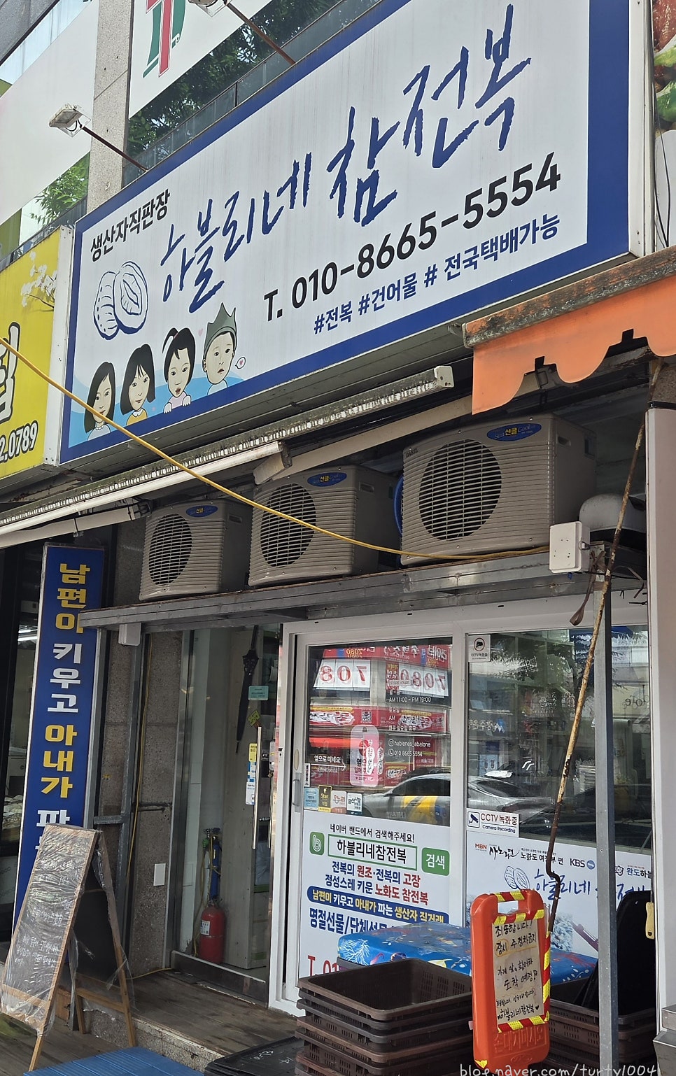 하블리네참전복 사진 2