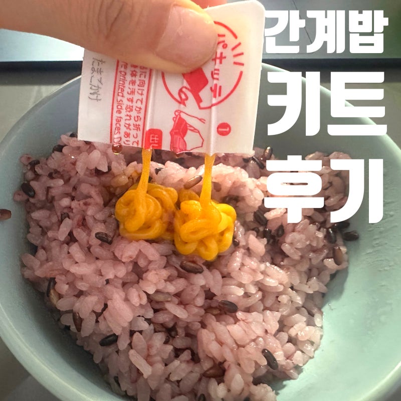 입맛없을때 한끼 뚝딱 간계밥 만들기 쉬운 내손안에 밀키트 일본 돈키호테 추천템 후기