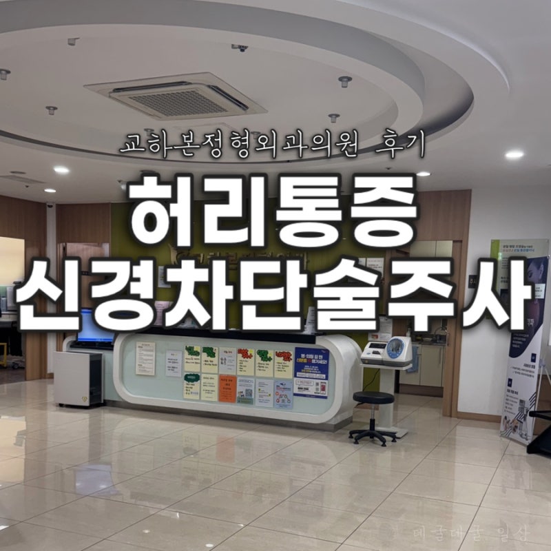 파주 교하본정형외과 허리 신경차단술 주사 후기 & 효과 - 허리 삐끗 진료, 실비 청구