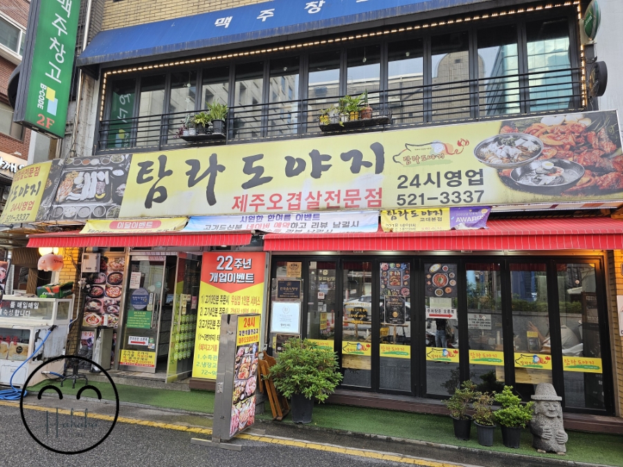 탐라도야지 사진 2