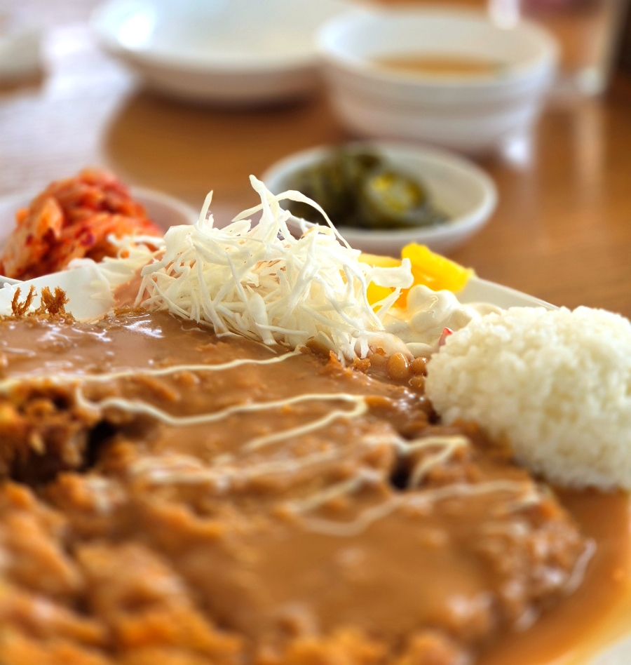 비엔나 사진 5