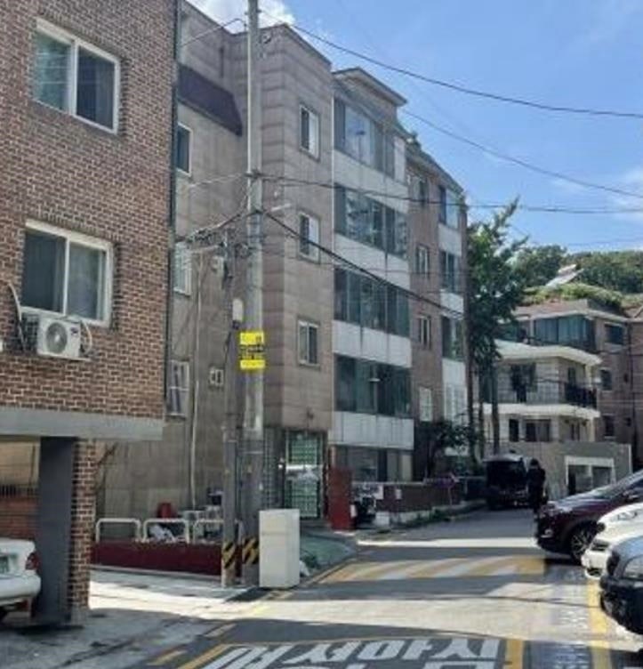 올레트 계피스틱 바퀴벌레에 정말 효과 있을까?