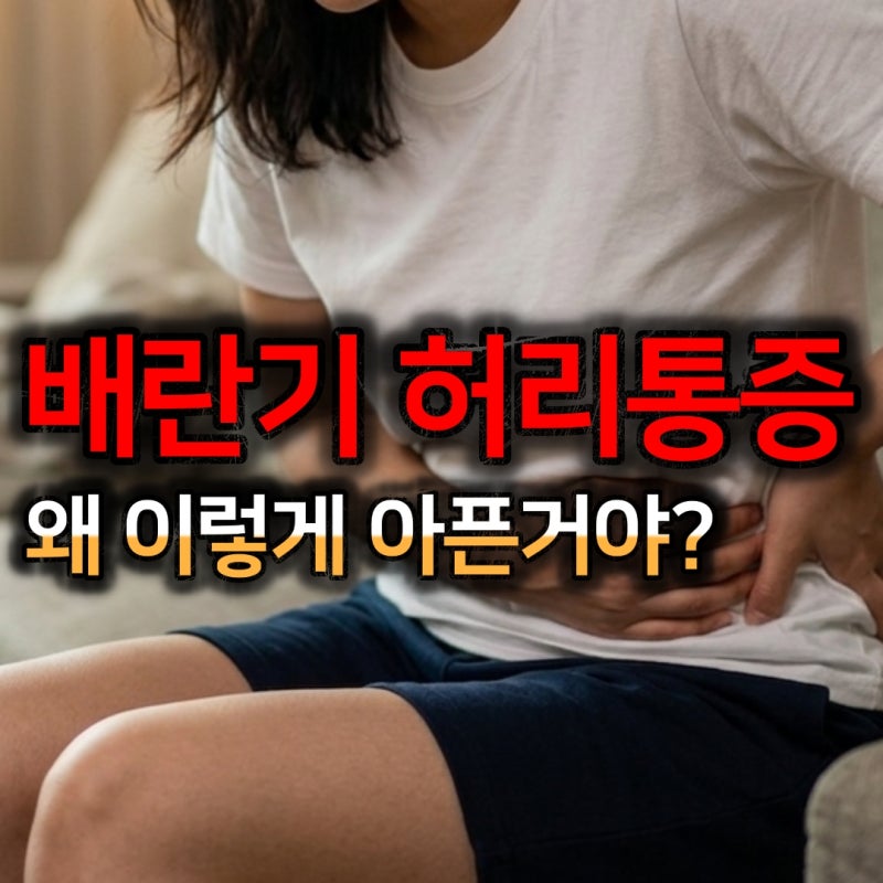 배란통 허리통증 중년 여성을 괴롭히는 증상 원인