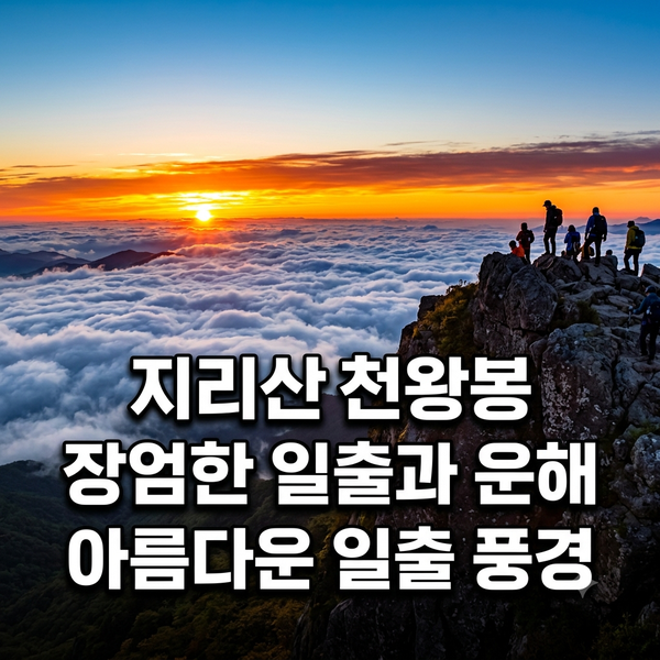 경상도 지리산·팔공산, 남부 권역 코스 총정리