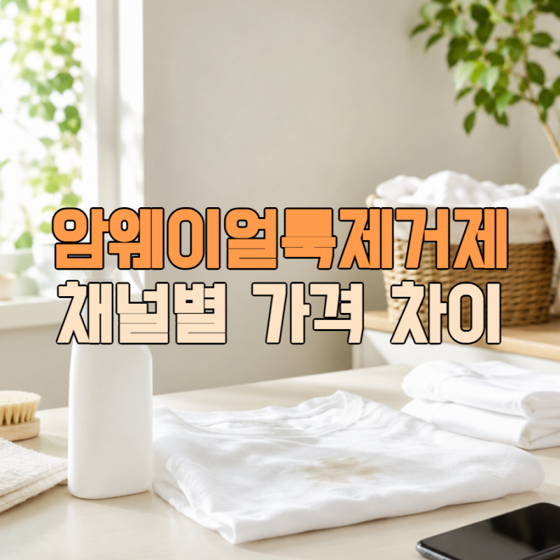 암웨이얼룩제거제 채널별 가격 차이, 단품보다 이 방법이 낫습니다