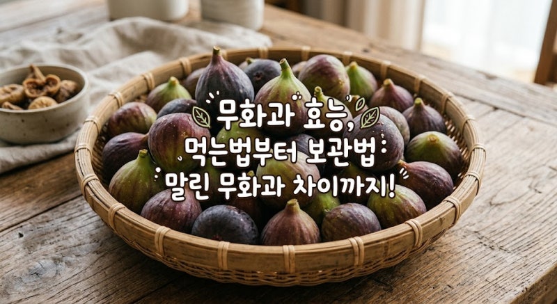 무화과 효능, 먹는법부터 보관법 말린 무화과 차이까지! 제대로 알고 드세요
