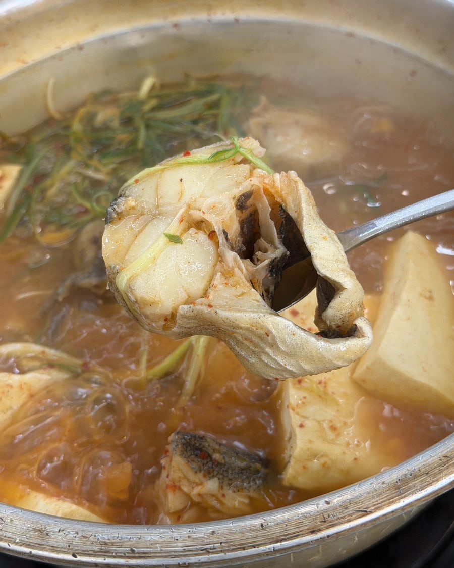 파인트리 사진 1