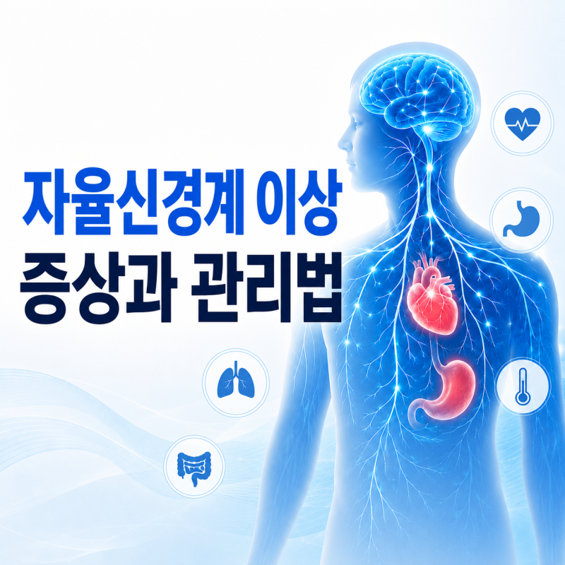 부산 하단 신경과에서 알려드리는 자율신경계 이상 증상과 관리법