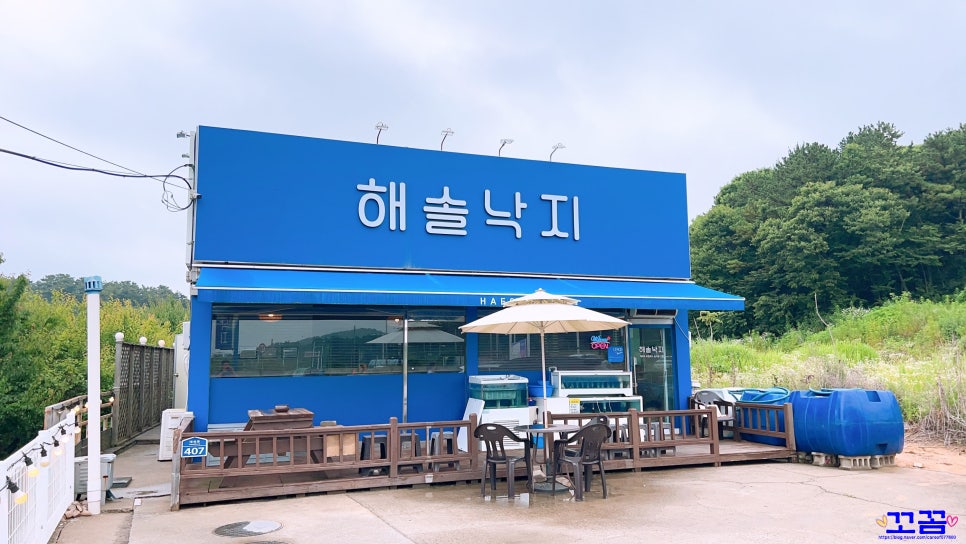 대부도맛집 해솔낙지 사진 2