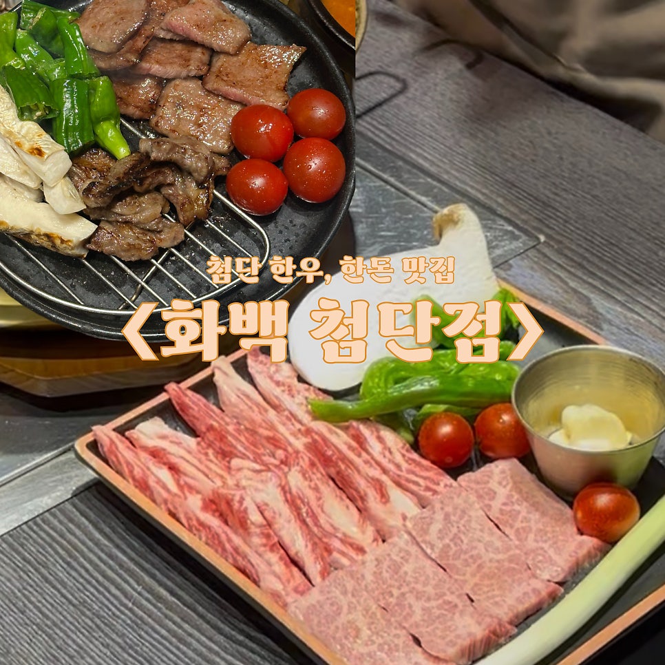 화백 사진 1