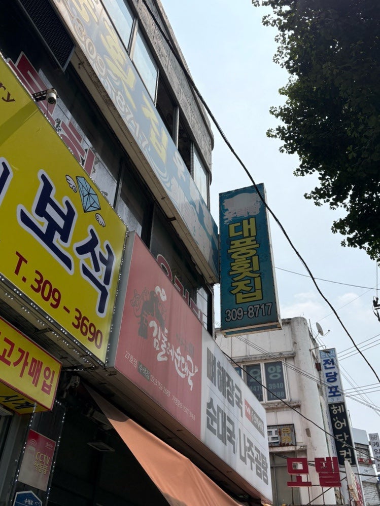 대풍 사진 2