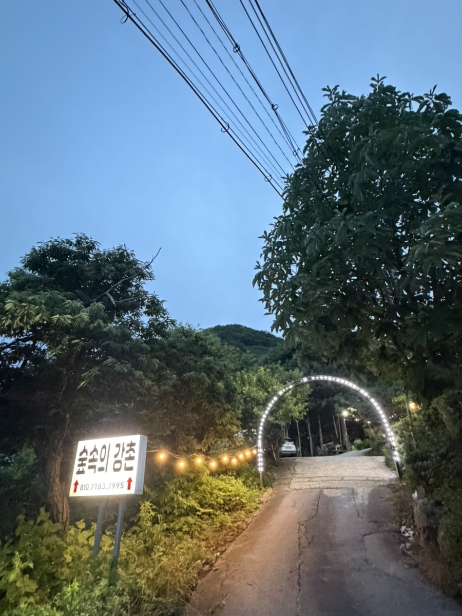 엘리시안강촌 캠핑파크 사진 1