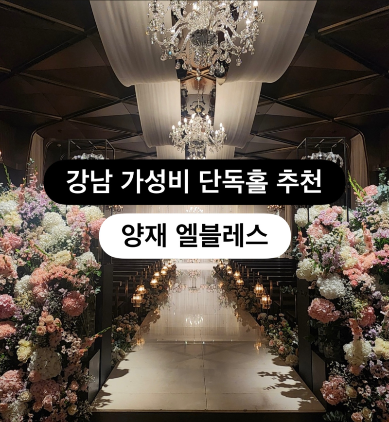 양재 엘블레스 | 27년 견적공유 생각보다 가성비있는 예신픽 밥 맛있는 단독홀 서울 강남 서....