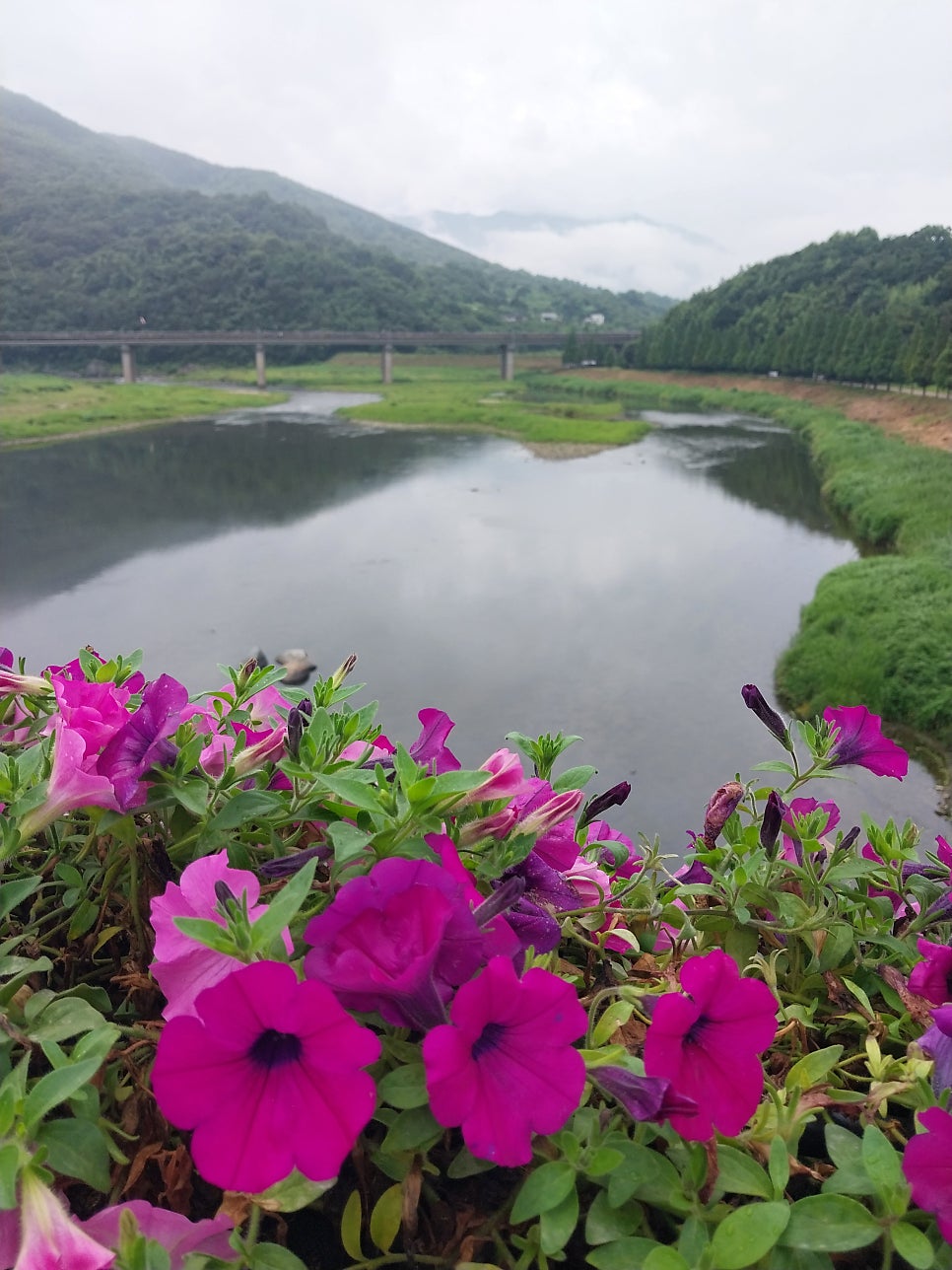 지리산둘레길 수철-성심원 사진 4
