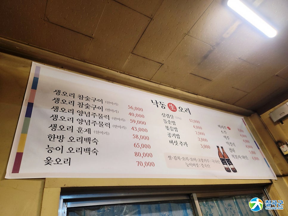 낙동생오리 사진 5