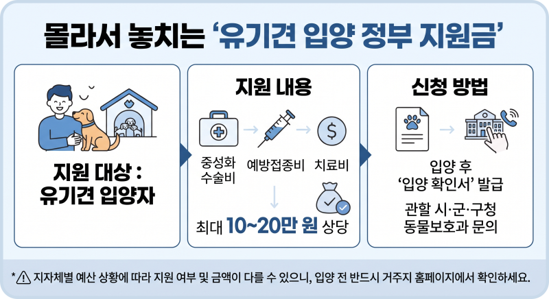 유기견 입양 정부 지원금 받는 방법｜펫샵 대신 평생 가족을 만나는 가이드