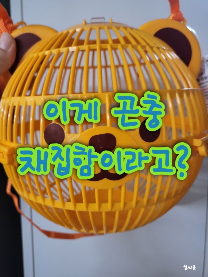 다이소 추천템 곤충채집함 너무 귀여운거 아니야?