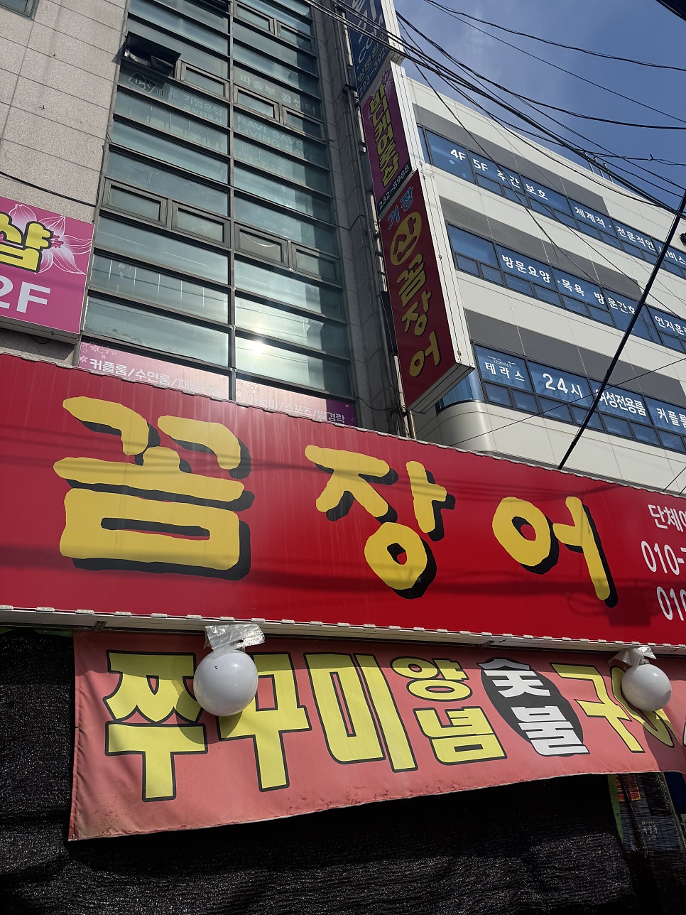 기장새벽산꼼장어 사진 3