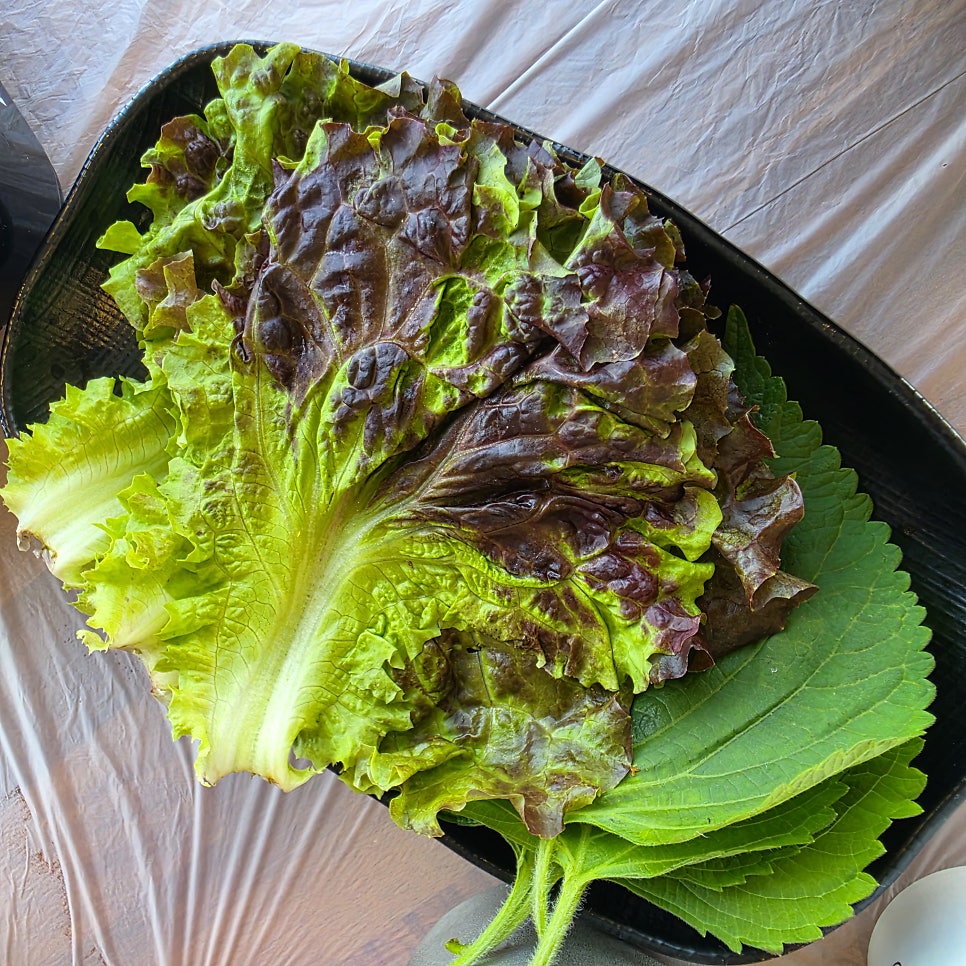 총각도매횟집 사진 6