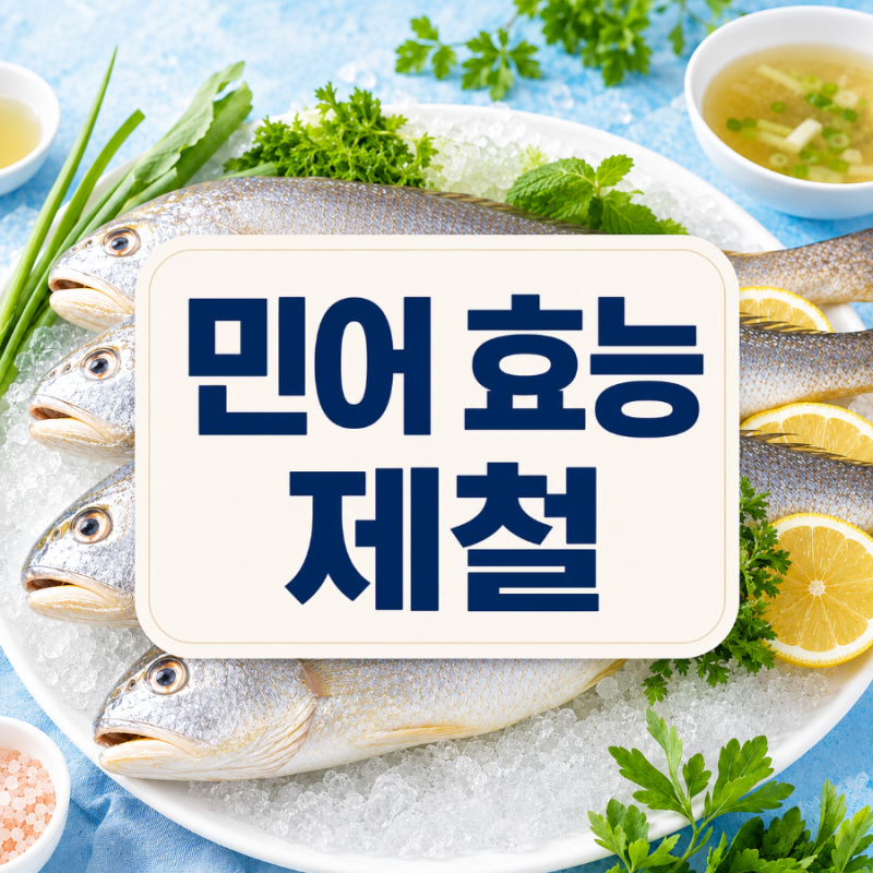 민어 제철 언제일까? 여름 보양식 민어 효능·가격·먹는법 정리