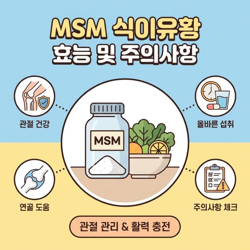 MSM 식이유황 효능부터 먹는법까지, 관절영양제 실제 효과 제대로 아는 법