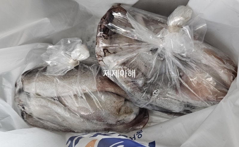 (식재료)생물 오징어 손질&냉동 보관