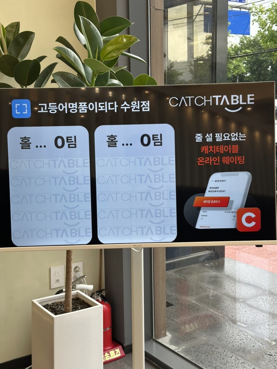 고등어명품이되다 사진 4