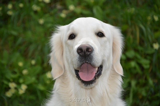 이야기마을 사진 5