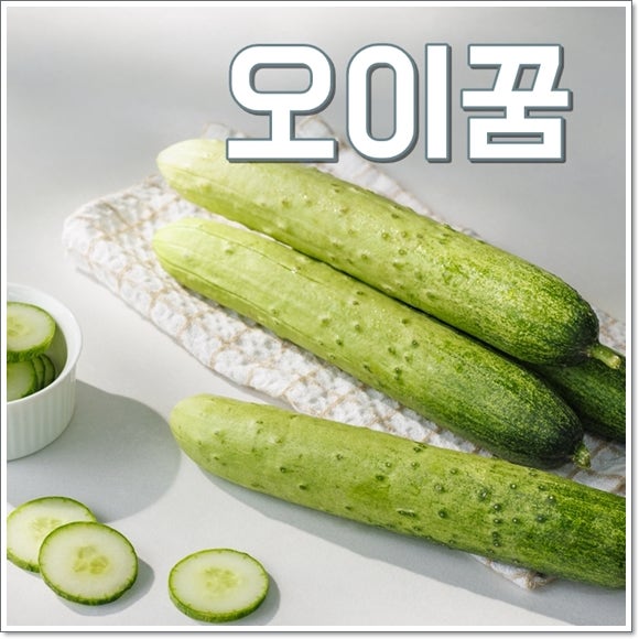 오이꿈 해몽 심는꿈 따는꿈 숨은 의미 풀이