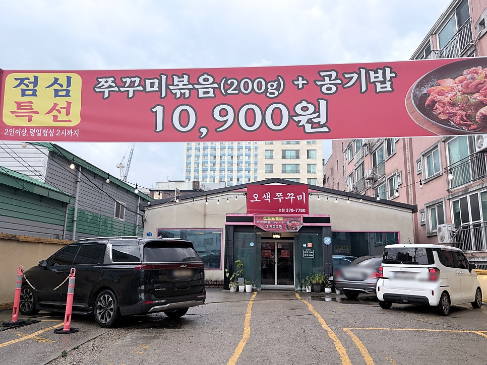 오색쭈꾸미 사진 3