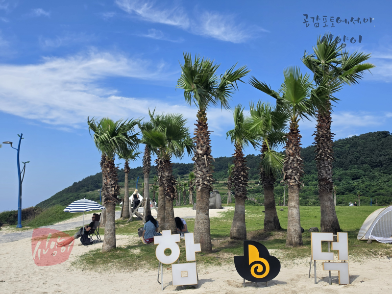 제주 함덕해수욕장 추천 개장기간 주차 샤워 파라솔 평상 가격