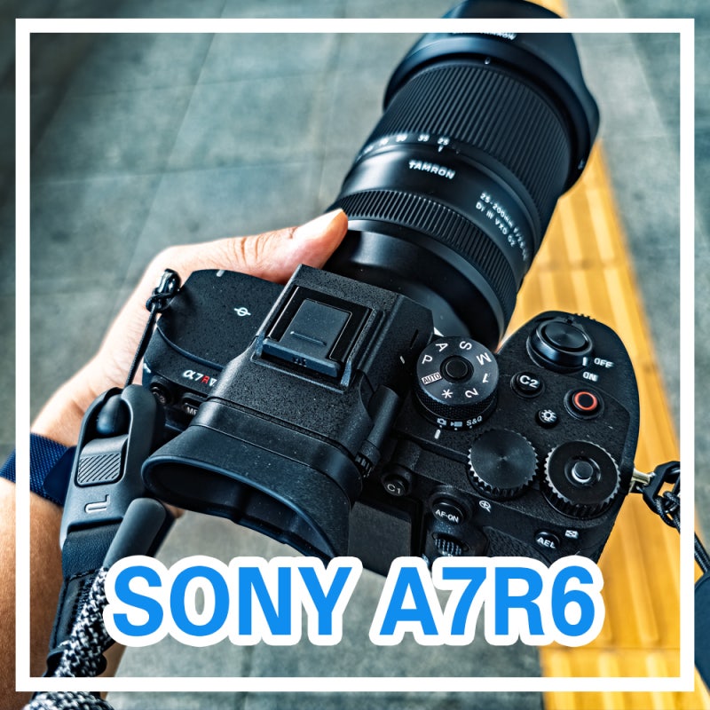SONY A7R6 촬영 후기 완벽한 카메라