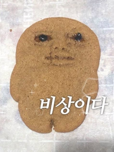 시나공 / 컴활 2급 필기 & 실기