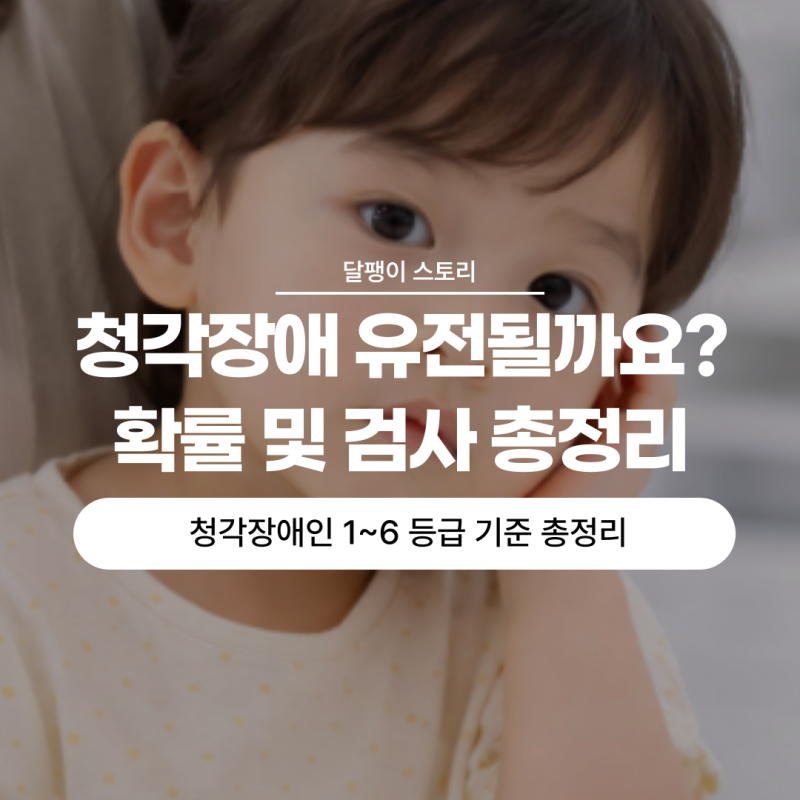 청각장애 유전될까요? 확률 및 검사와 청각장애인 등급 기준 (1급, 2급, 3급, 4급, 5급 ,6급) 총....