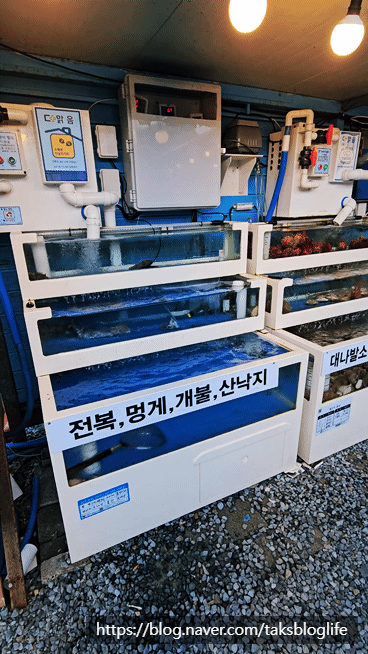 게락 사진 5