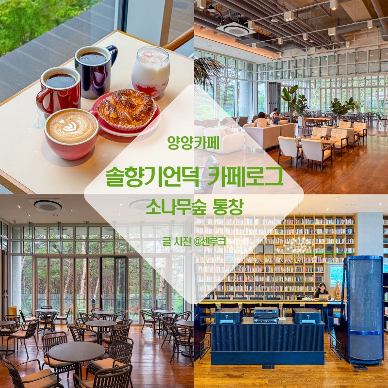 양양 비올때 가볼만한곳 양양 카페거리 카페 로그