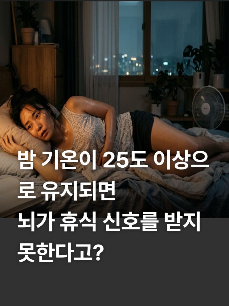<b>열대야 기준 온도</b> 몇도 총정리와 밤새 숙면하는 방법 6가지 정리